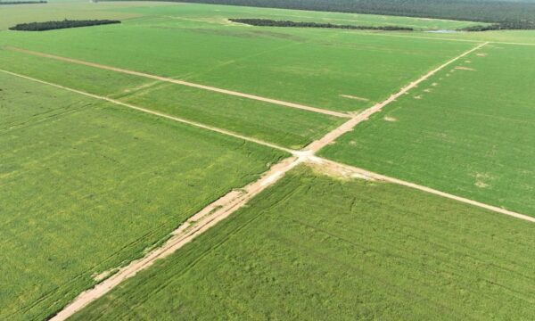 BrasilAgro (AGRO3) está ‘sempre pronta’ para compra imperdível — e não conta com fazenda ‘not for sale’