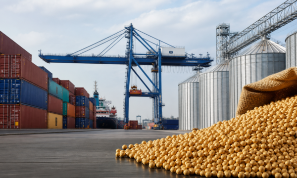 Cúpula do BRICS começa na Índia com foco em comércio e segurança alimentar