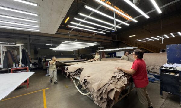 JBS e Viva unem operações e criam gigante com capacidade para processar mais de 20 milhões de couros por ano