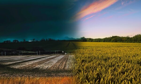 Clima pode detonar e retardar plantio da soja em diferentes regiões do Brasil; veja quais estados estão na mira