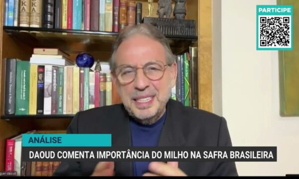 Desafios e avanços da produção de milho no Brasil em 2023