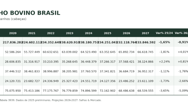 Menos boi e mais fêmeas retidas: o que esperar do preço do boi gordo em 2027?